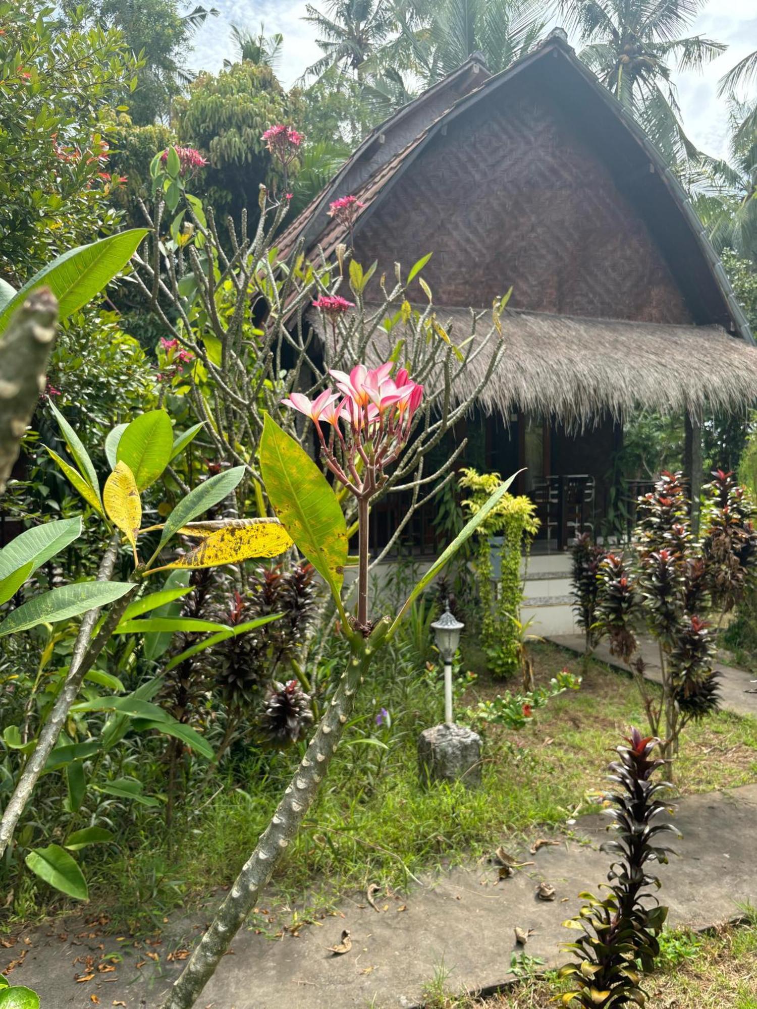 Kubu Artha Bungalow Nusa Penida Ped Esterno foto